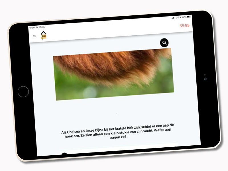 Dierentuin (8-12 jaar)