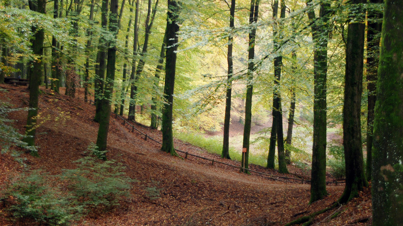 Nature Game Voorthuizen | De Heuveltjes
